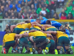 20131109 Rugby_Italia-Australia D3C_7395