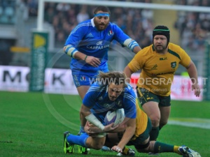 20131109 Rugby_Italia-Australia D3C_7953