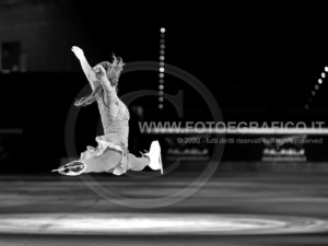 Galà World Skating Awards 2011